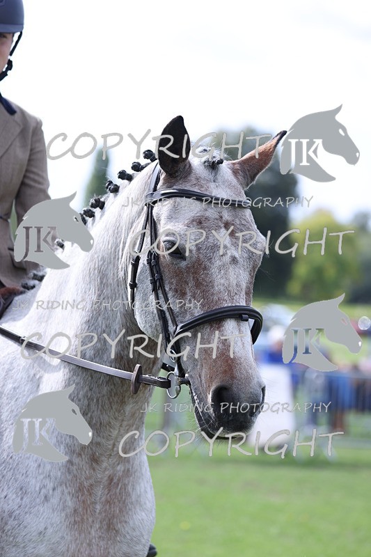 APP_3255 - Class 11 Veterans ridden