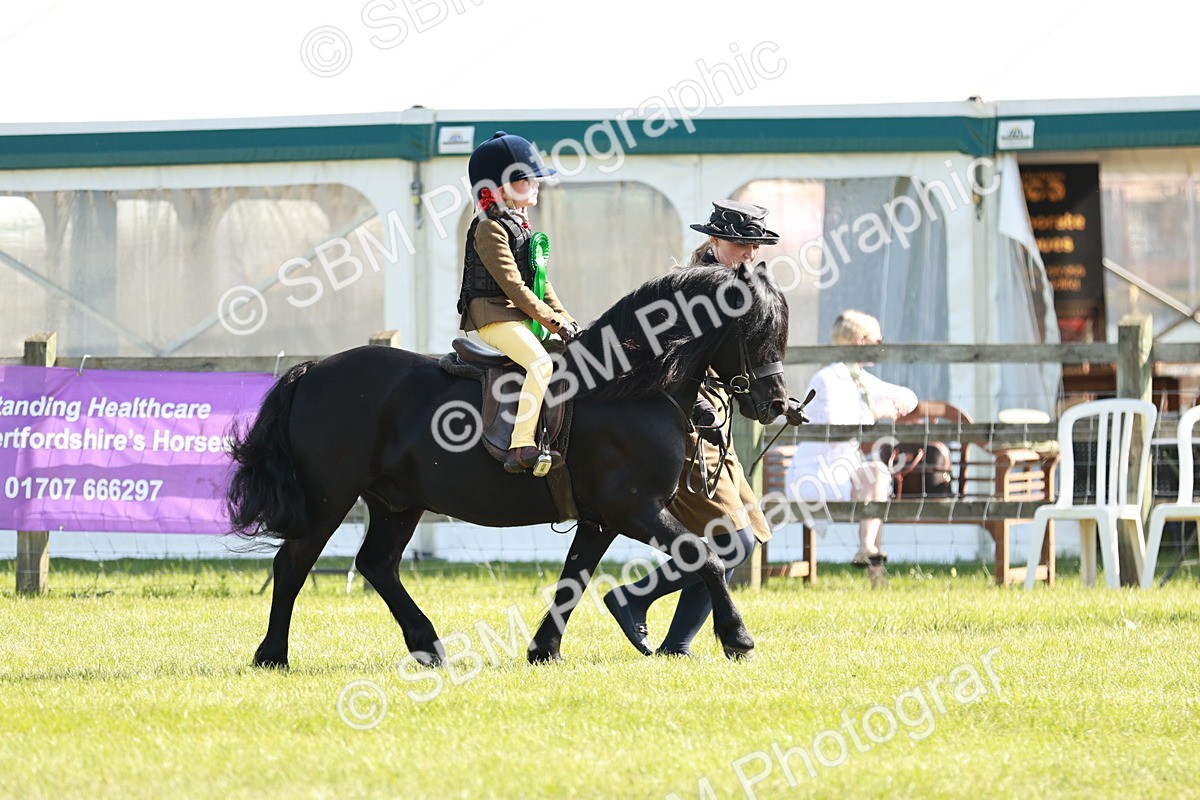 SBM_11351 - Class 106-107 - BSPS LIHS Working Sports Pony