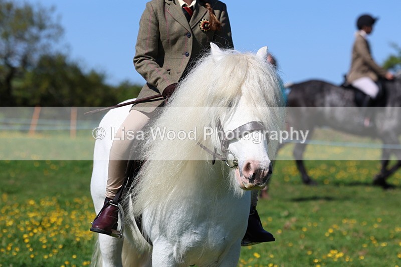 3E7A9238 - Class 3: First Ridden