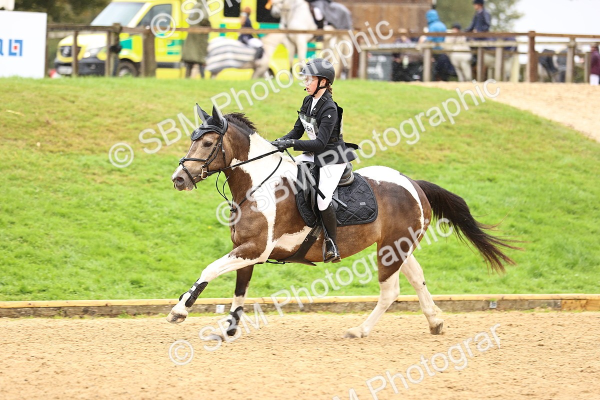 SBM_70007 - Supreme Championship 80cm 85cm