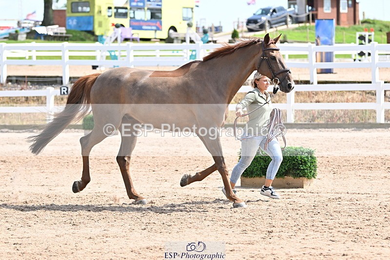 240717A-151129-02629 - Trot Up 3pm to 4pm