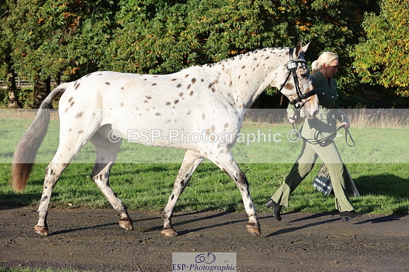 251026A-094035-22416 - D-323-Hannah.Flowerday