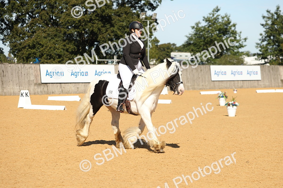 SBM_19613 - D10 - Small Tour Championship - Prelim 2