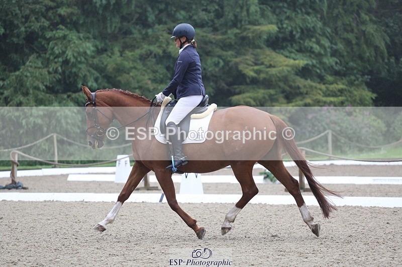 240720-125748-05176 - 186-Dani_Wills-Greathill_Sahara