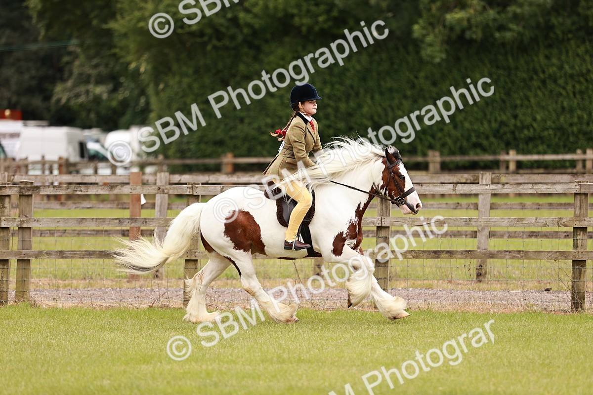 SBM_06204 - Class 39-41 TGCA In Hand and Ridden