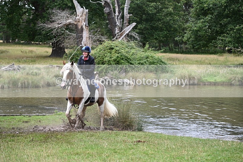 WJ7_5055 - Time at Water 14:00 to 14:53