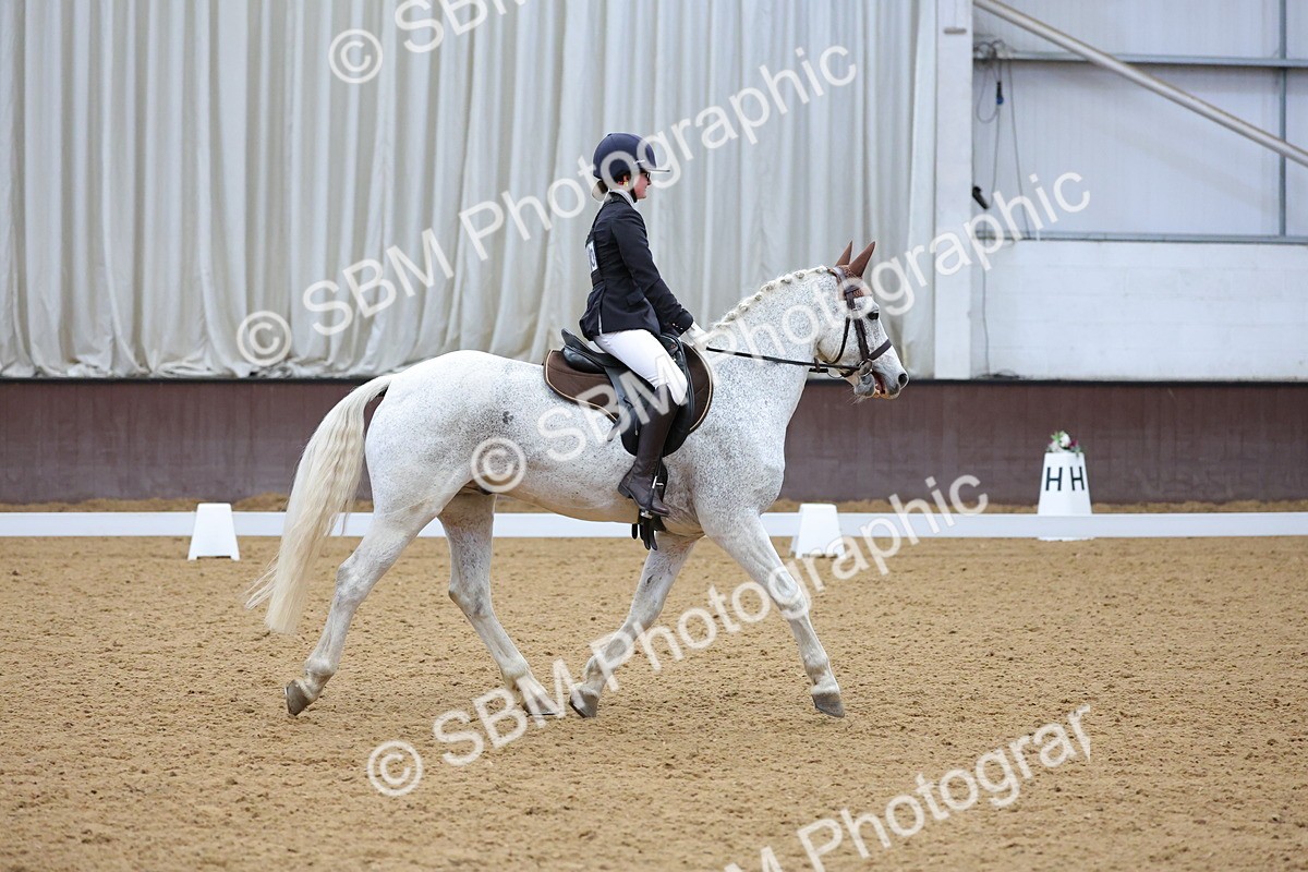 SBM_002980 - Novice