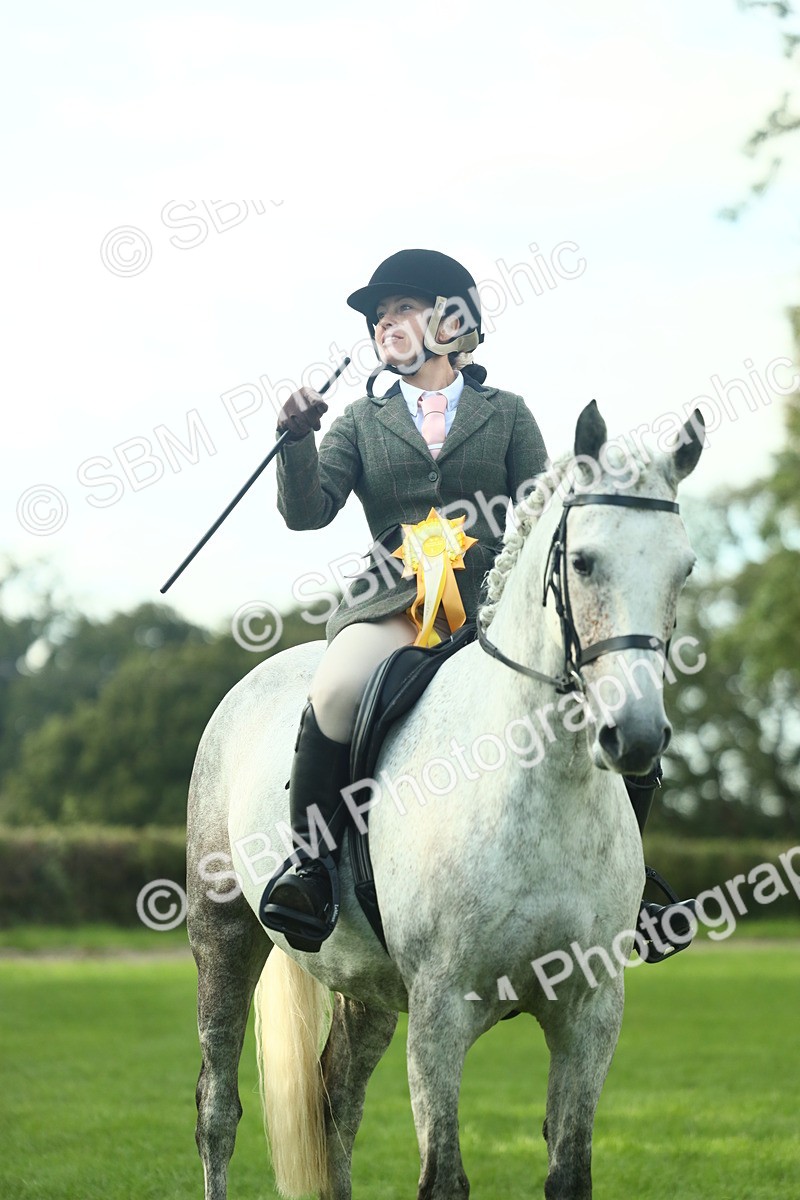 SBM_52230 - S33 - Working Hunter & Working Show Horse