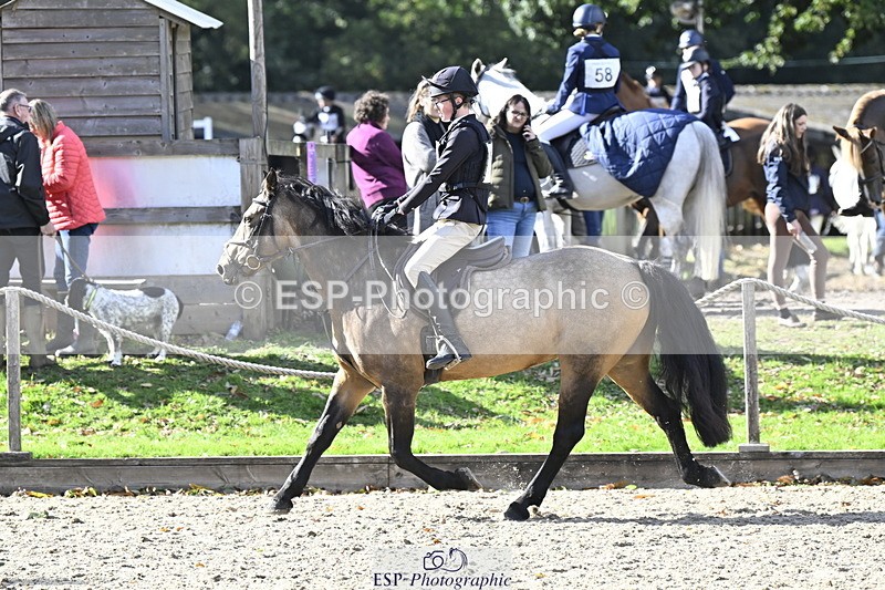 251005A-141109-04316 - Cls 09 Nov 80-85cm