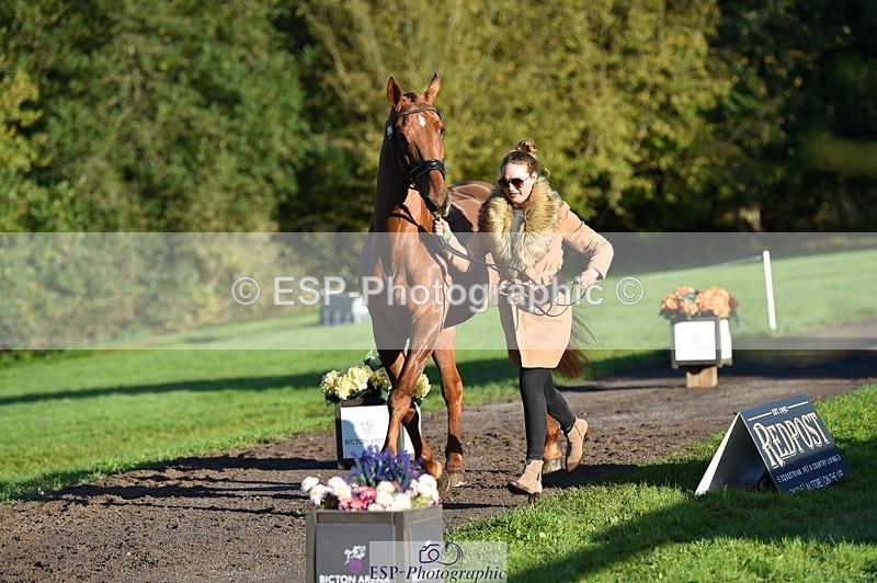 231022-093008-21832 - 682-DOOLIN.DE.REVE-Jasmine.Holmes-TrotUp+SJ