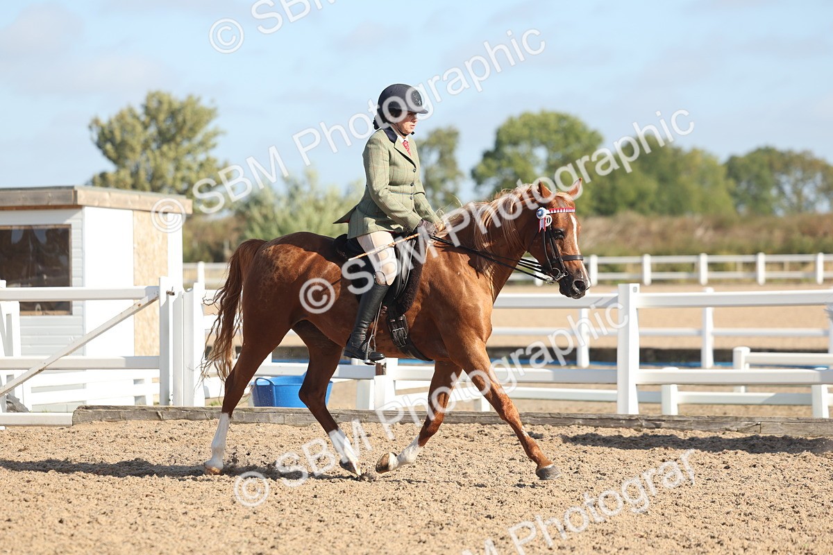 SBM_22295 - Class 803 - Ridden Combination 65+