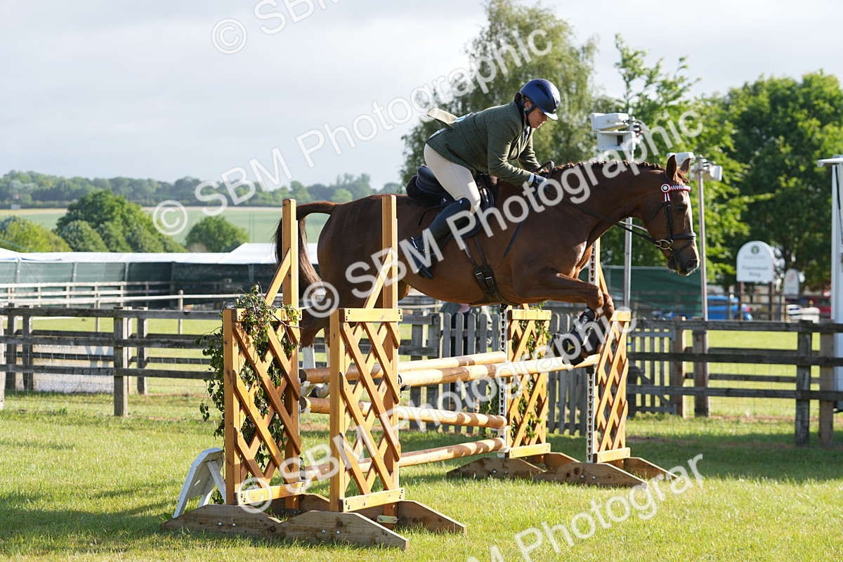 SBM_10519 - Class 97-98 - LIHS BSHA Rising Star Working Show Horse Hunter