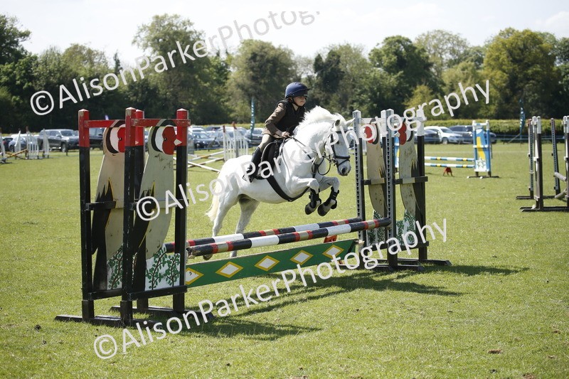 20250427-2338 - Class 13 - Novice Jumping 60cm