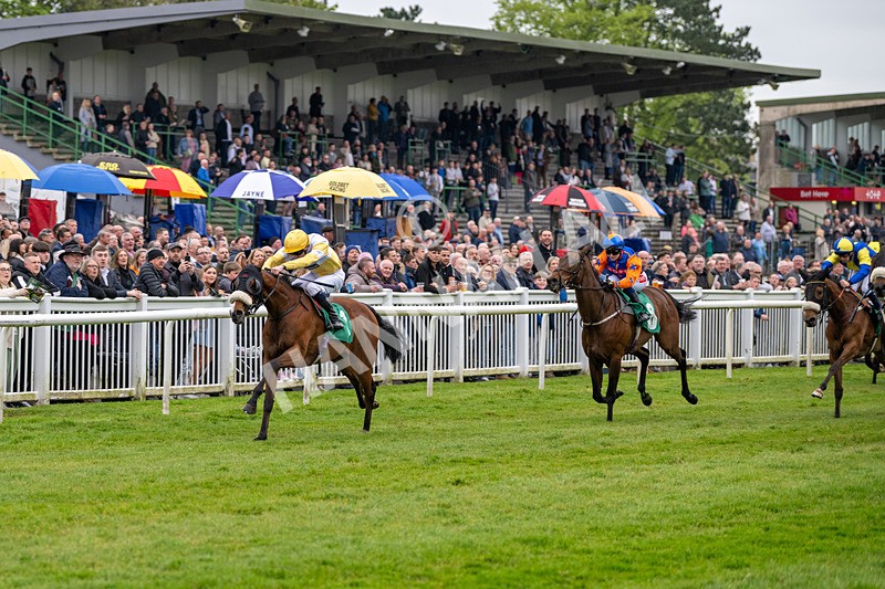 040524-Race 2-Wobwobwob-4072 - Race 2