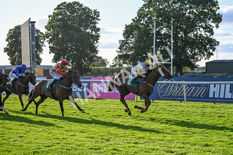 160824-Race 4-Jamih-9343 - Race 4