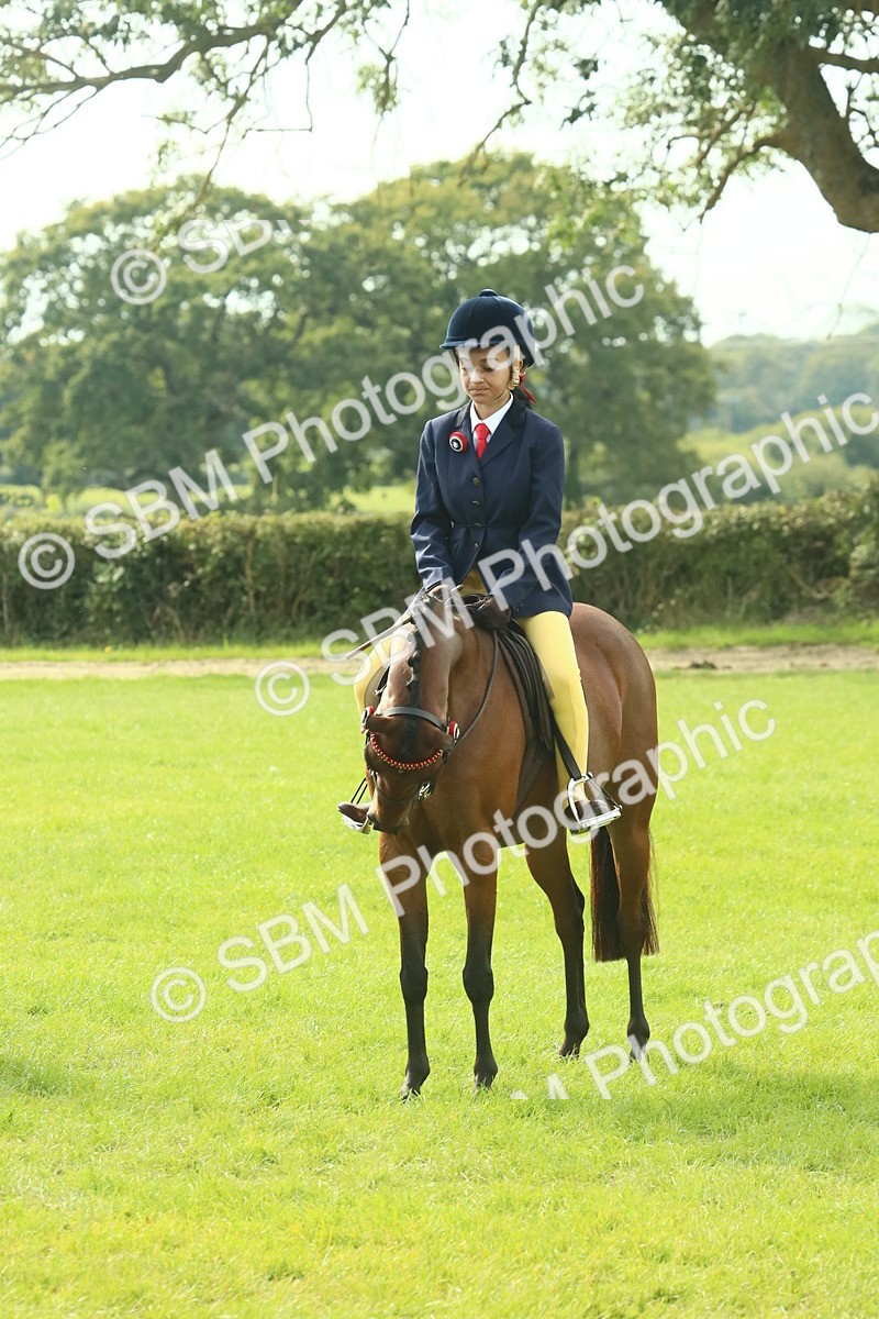 SBM_68106 - S57 - Part Bred Pony Ridden