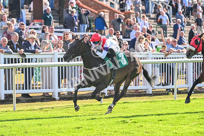 290825-Race 7-Crocus Time-9284 - Race 7