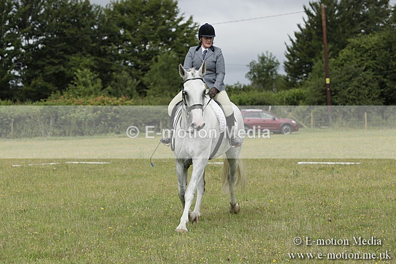 BVR160717-610 - Class 1 & 23a Dressage 16/07/17