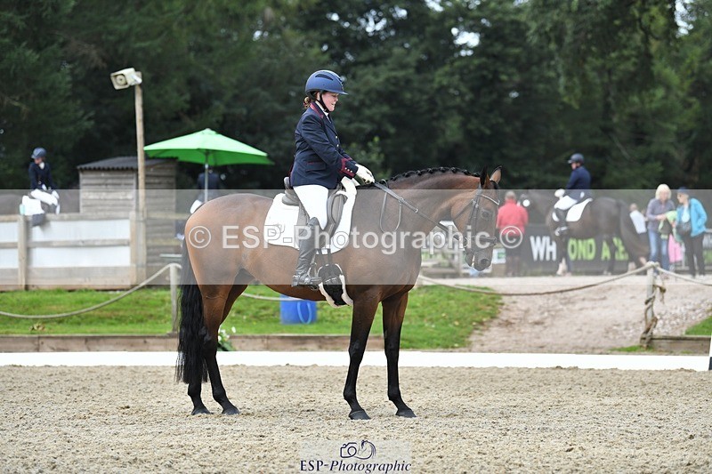 230812-111111-03551 - Cls 6 Novice Silver 10.30 to 11.55 break