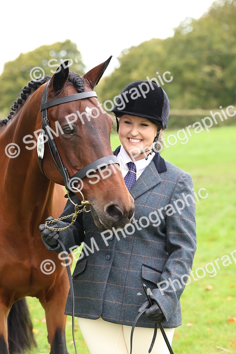 SBM_41746 - S26 - Mature Veteran In Hand