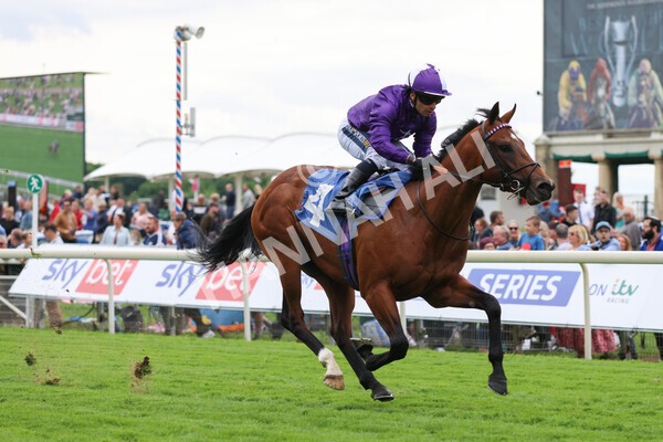 yr22052022r2-14 - Race 2: 4:00pm Sky Bet Sunday Series EBF Novice Stakes
