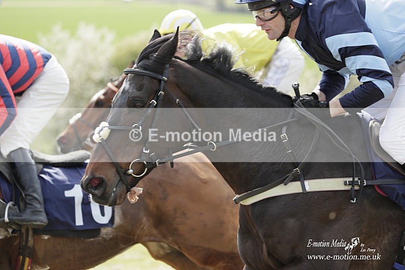 PtP 080423 205 - Dingley Races The Woodland Pytchley Hunt PtP 08/04/23