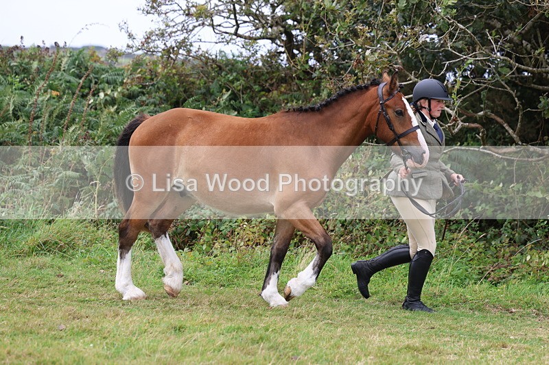 3E7A4092 - Class 15: Two Year Olds