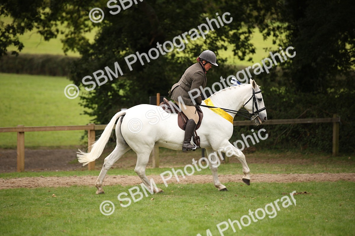 SBM_73666 - Ridden Horse Supreme Championship