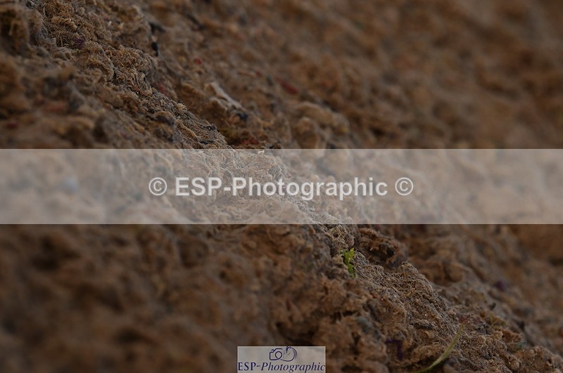 231104A-134728-01918 - Cls 10 Medium 61