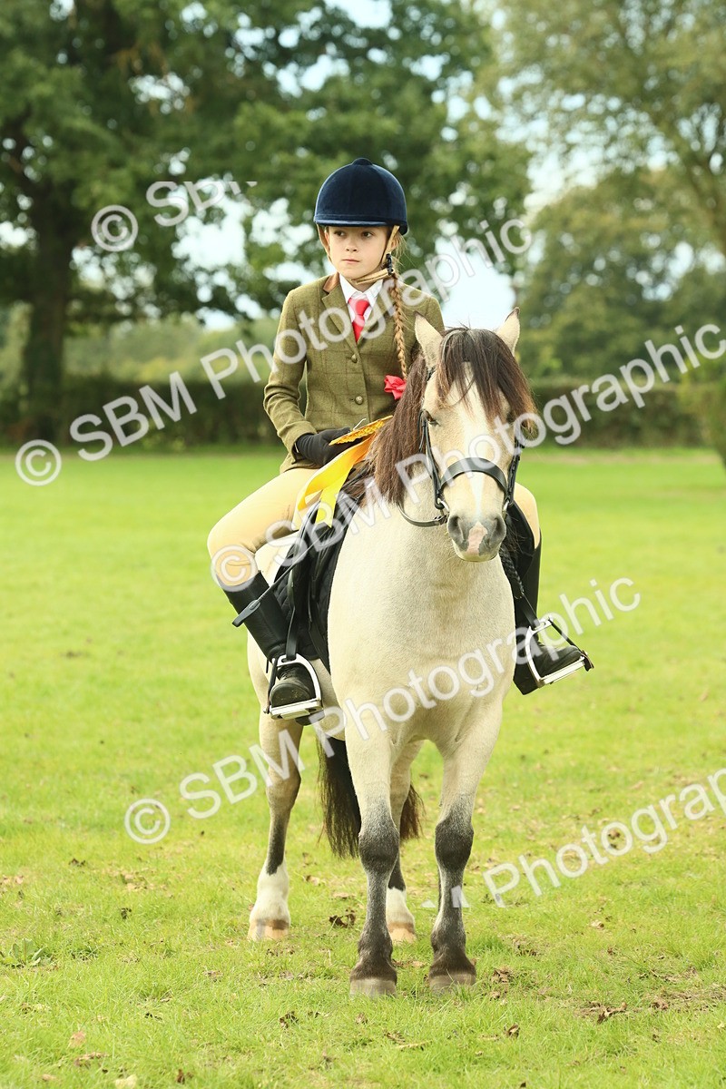 SBM_70044 - S59 - Mountain & Moorland Ridden Small Breeds