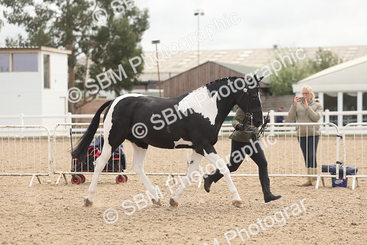 SBM_02080 - Class 15 - IH Coloured