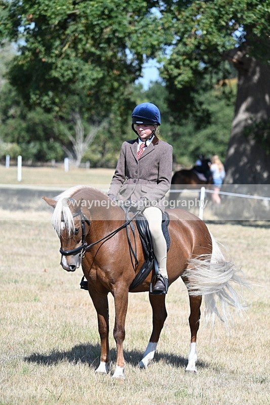 WJ7_4109 - Class 9 Mountain & Moorland Ridden