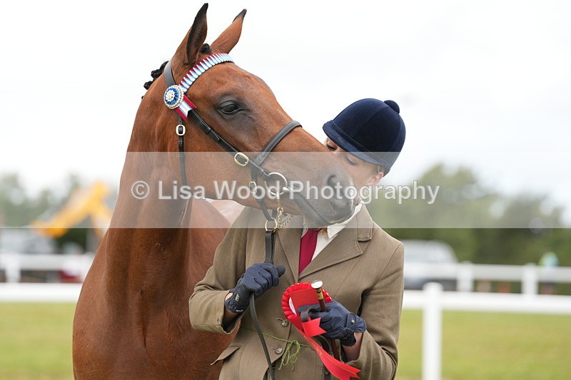 DSC06406 - Class 55: Hunter/Riding Horse/Hack 3 & 4 yr olds