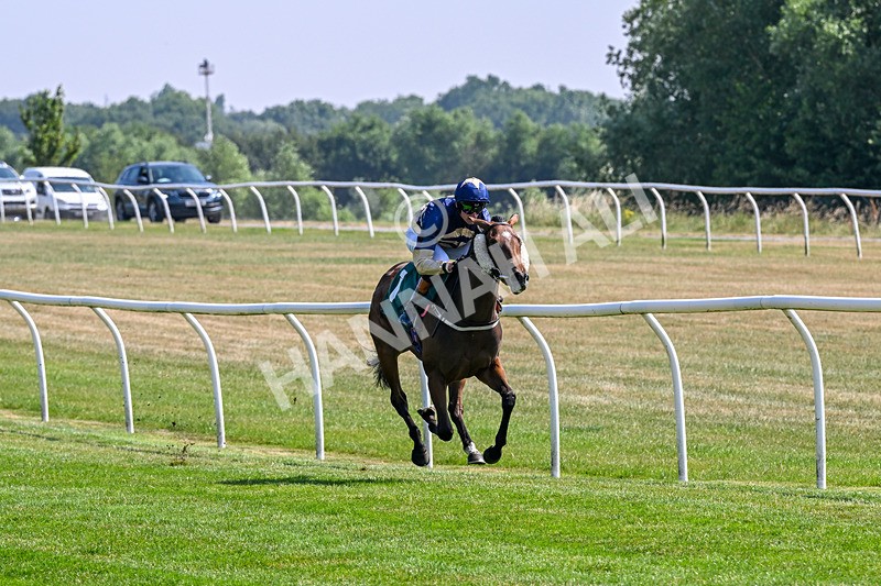 150726-Race 3-Lady Dublin-3180 - Race 3 15.10pm racingtv.com/freetrial Nursery Handicap