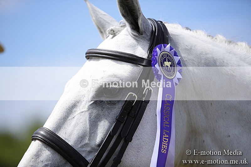 _C7A0261 - Side Saddle Classes BVRC Show 2018