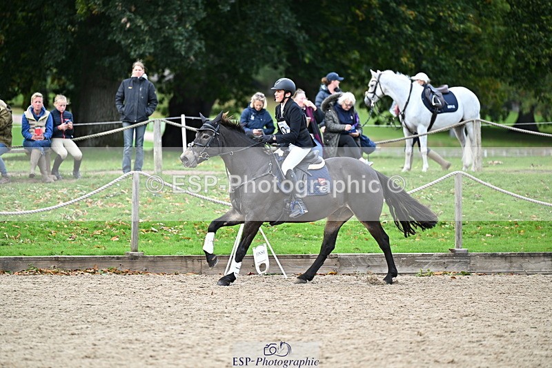 251005A-134700-04159 - Cls 09 Nov 80-85cm