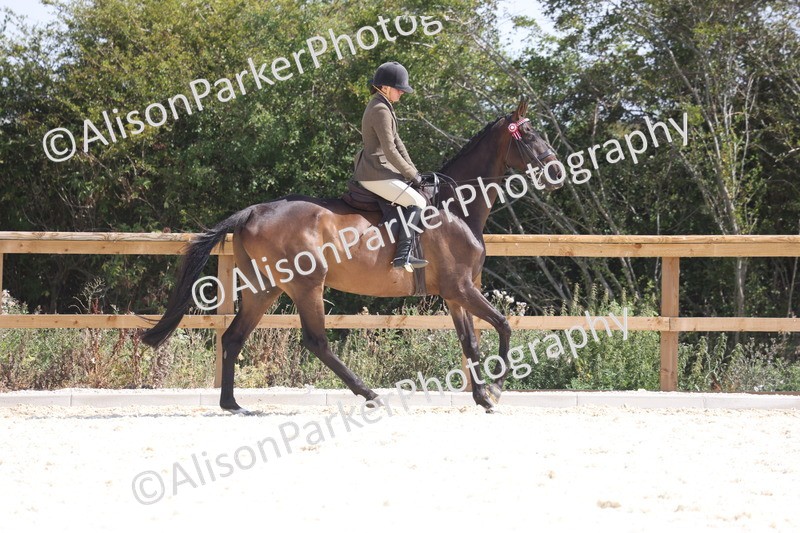 20260802-0713 - Class 8 - Best Riding Horse or Pony