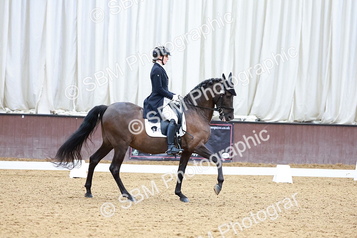SBM_001082 - Class 12-19-16 - Lusitania-FEI INT I - PYO ADV 1