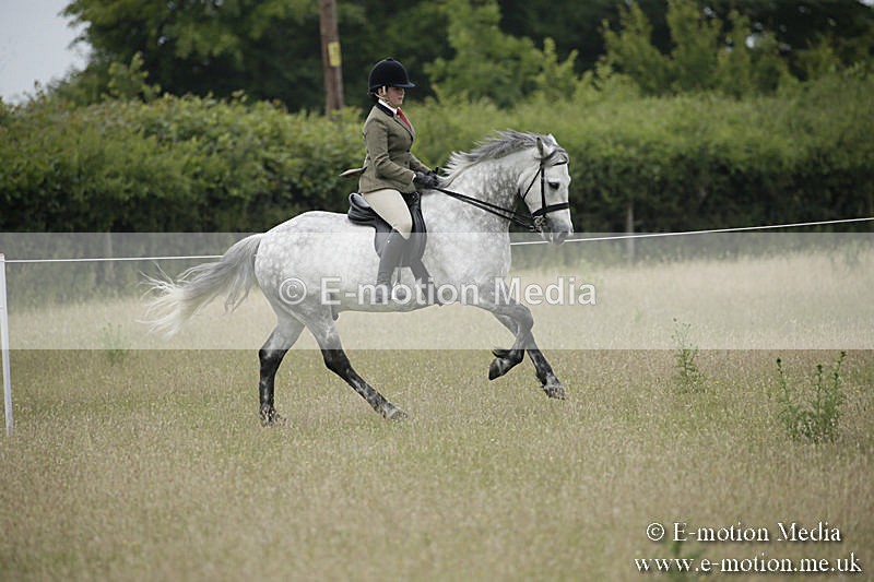B230619-0523 - Bourne Valley Riding Club Summer Show 23/06/19