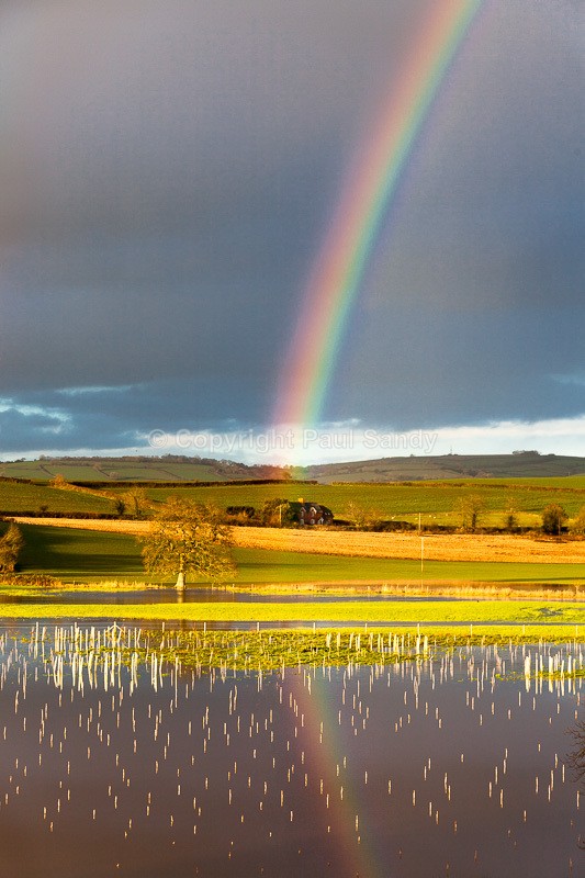 So this is how they grow tripod legs! Culm valley, Devon - Featured Images