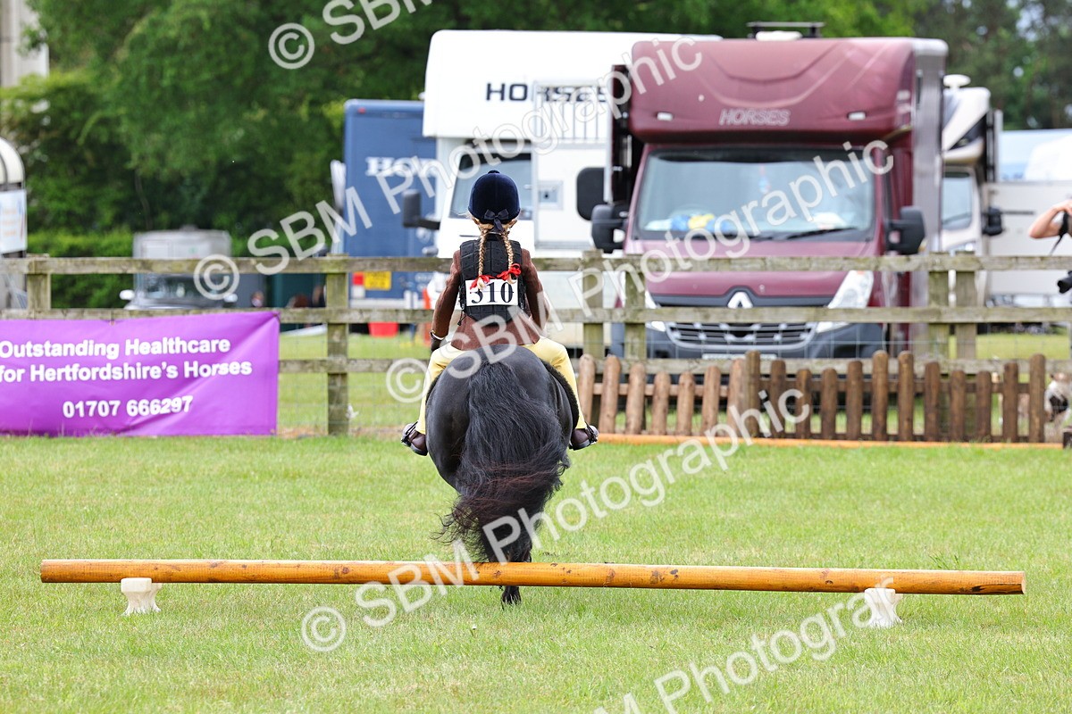 SBM_08668 - Class 42-43 - LIHS BSPS Heritage Working Sports Pony