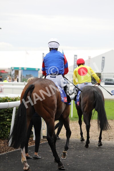 yr23072022r2-2 - Race 2 2.40pm Sky Bet Dash