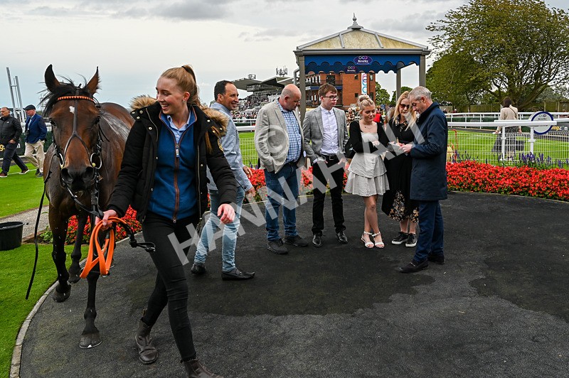 250824-Race 5-Lincoln Rockstar-2241 - Race 5