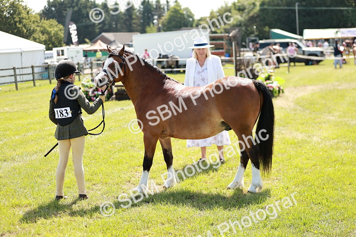 SBM_13602 - Class 108-109 - BSPS LIHS Open Gradle & Nursery Stakes