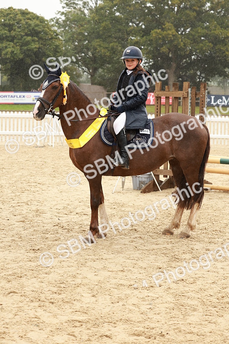 SBM_72206 - J14 - Junior Pony 65cm Championship