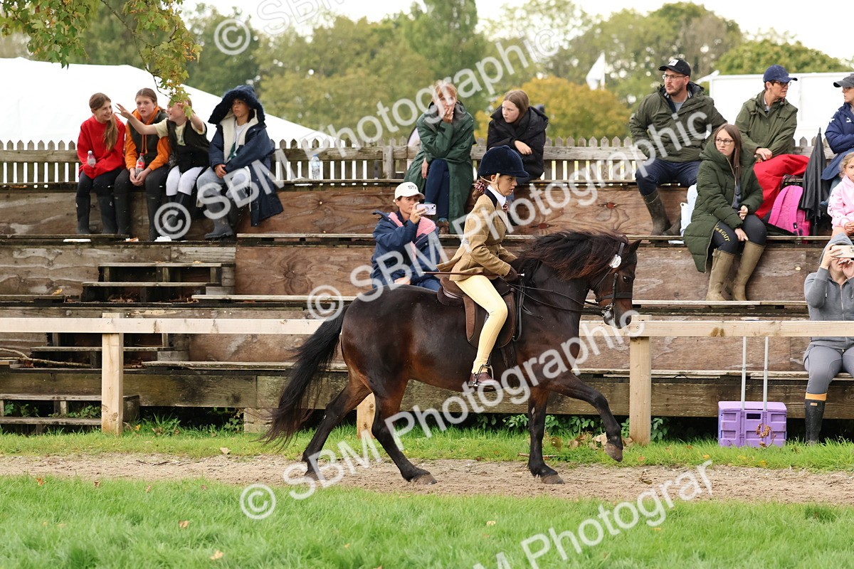 SBM_44999 - S27 - Young Veteran Ridden