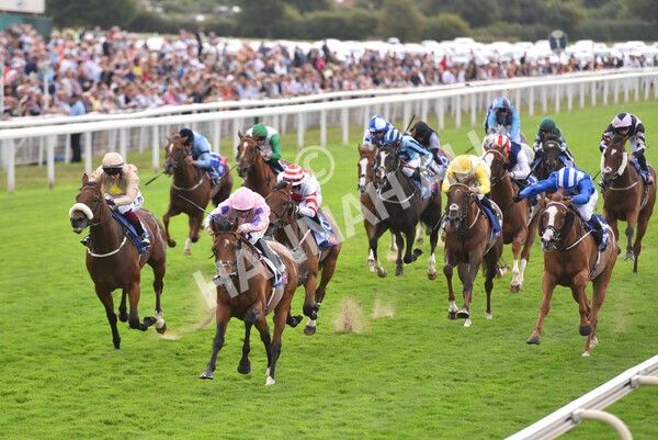 yr19082022r1-29 - Race 1 1.50pm Sky Bet Stakes