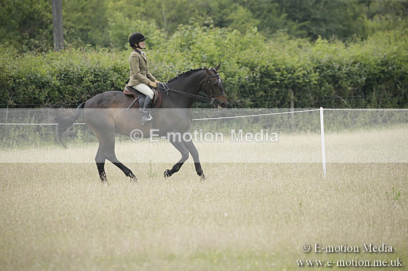 B230619-0708 - Bourne Valley Riding Club Summer Show 23/06/19