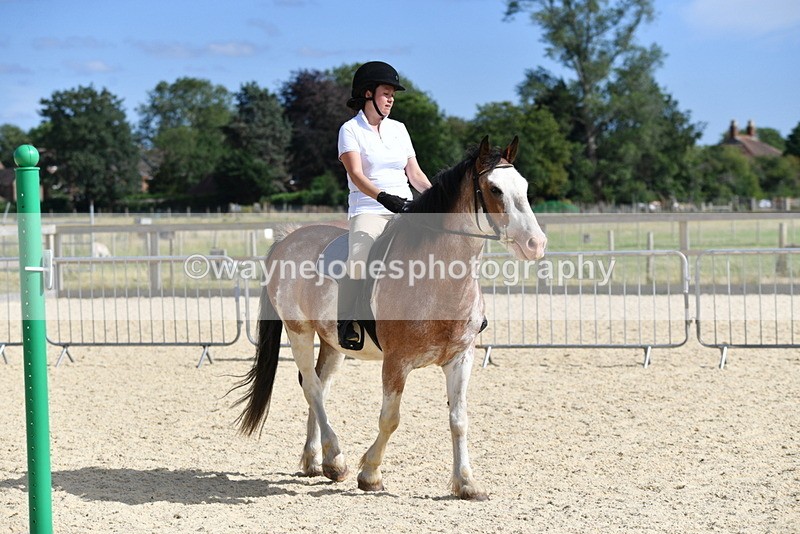 WJ5_5531 - Poles on the Floor