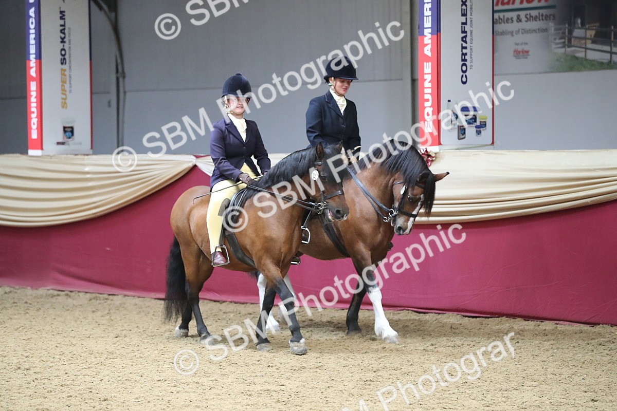 SBM_13632 - Class 109 Ridden Pairs - Section B